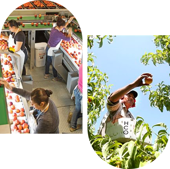 highlight-14-v1_image (1)